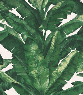 Papel de Parede Unique - Folhagem CÓD: UN-5049